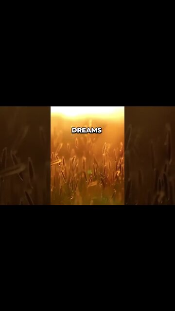 Feel it now, that warm glow of hope. #meditation #sleep #shorts