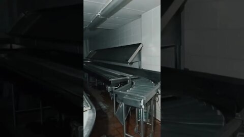 I found the Backrooms