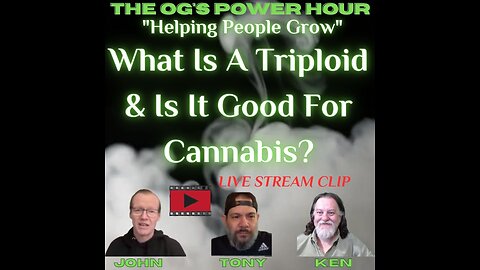 What Is A Triploid & Is It Good For Cannabis?