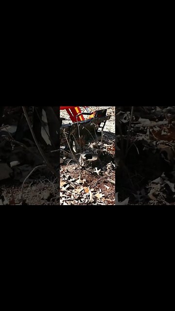 Amazing Stump Bucket #shorts #tractor #kubota