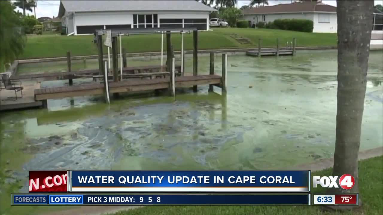 Water quality update in Cape Coral