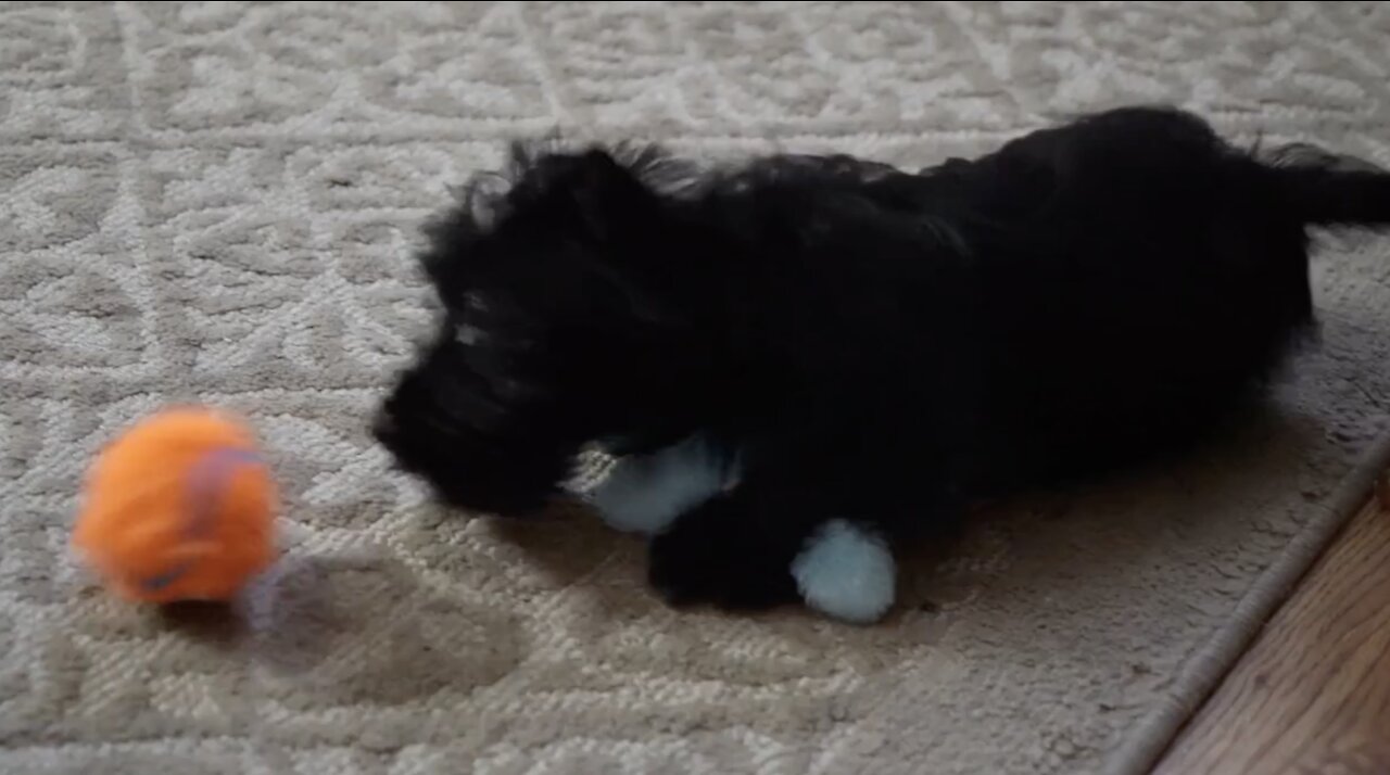 Duncan's First Movie