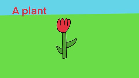 A plant