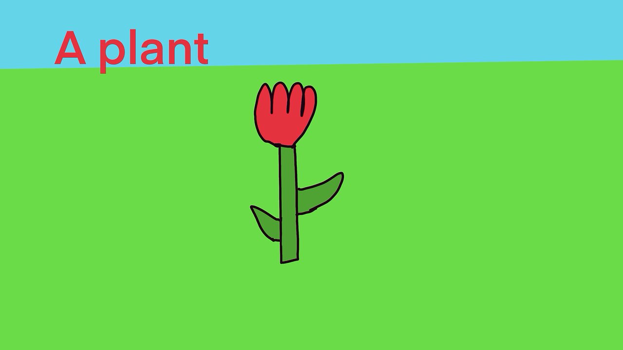 A plant