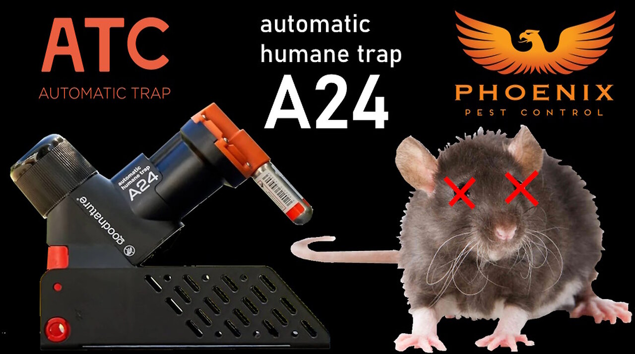 A24: Your Solution to Rat and Mouse Problems