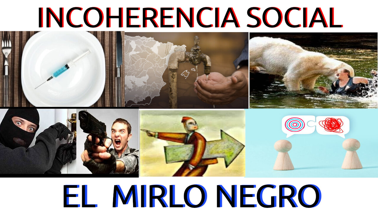 incoherencia social