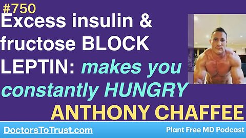 ANTHONY CHAFFEE 8 | Excess insulin &fructose BLOCK LEPTIN: makes you constantly HUNGRY