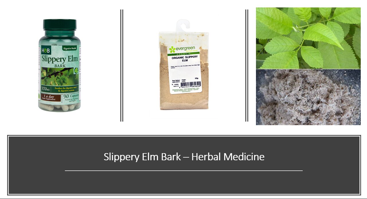 Slippery Elm Bark Herbal Medicine