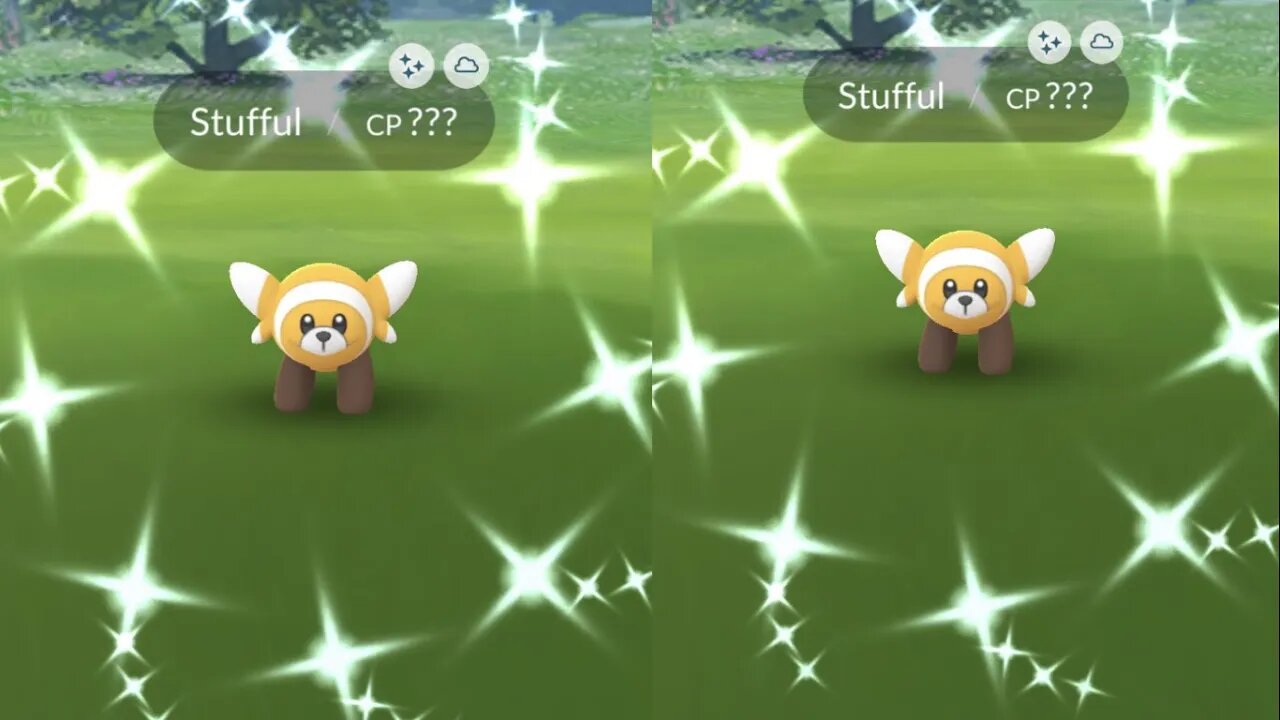 My Reaction to Shiny Stufful