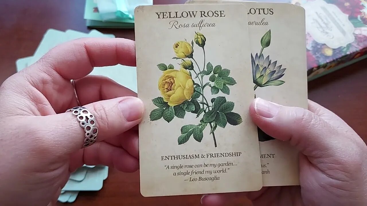 Unboxing Botanical Inspirations Oracle Cards by Lynn Araujo