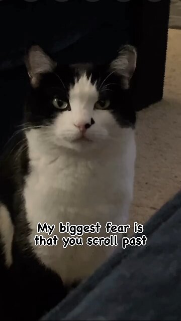 Leia’s biggest fear