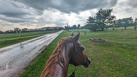 Cajun Horseman Caught in Storm - Horse Head Down Keep Moving 😁👍