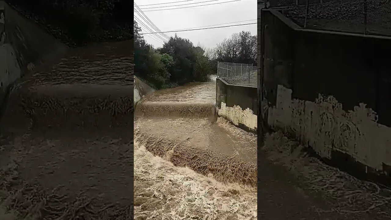 Water from Saratoga Creek entering San Tomas Aquino Creek