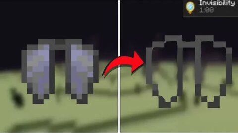 Invisible Elytra Glitch...