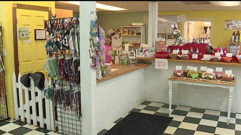 North Ridgeville pet food store, Grateful Dog Bakery, open amid stay at home order