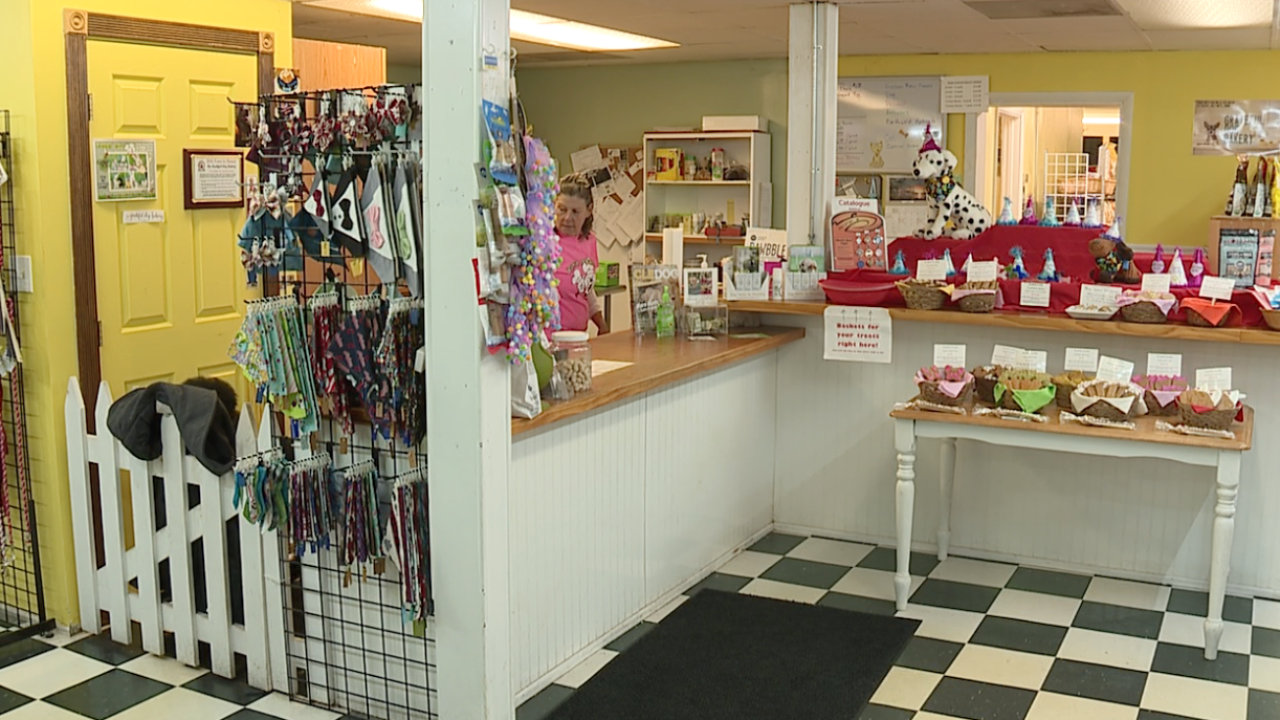 North Ridgeville pet food store, Grateful Dog Bakery, open amid stay at home order