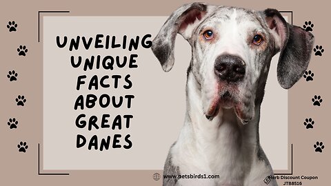 Mind Blowing Facts About Great Danes #pets_birds