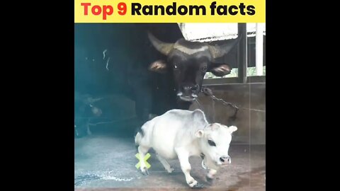 Amazing गजब Facts🤯🤯|#short #facts