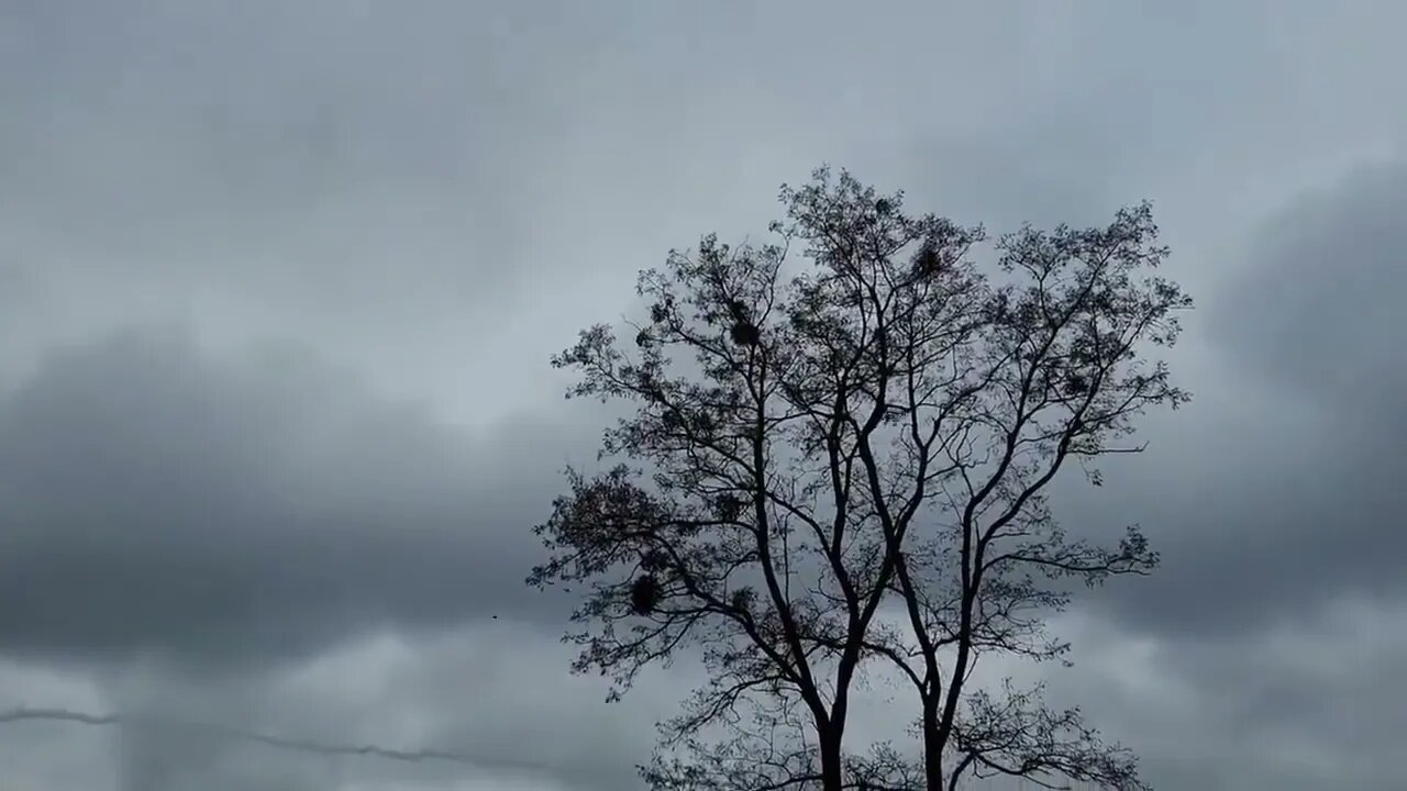 Ukrainian Jet (MiG-29?) takes on a Russian Su-35 Jet in Ukraine (near Kyiv)