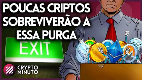 COMO GANHAR 50 - ADA PREPARA USDA - XRP - GOVERNO ENCOBRE FTT FTX - DESAPARECER CRIPTO NOTÍCIAS HOJE