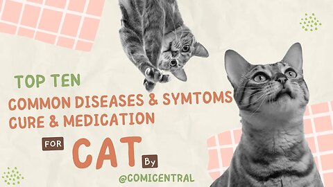 The Most Common Diseases in Cats When in the Home: A Comprehensive Guide