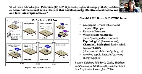 Feb. 9, 2023 Katherine Watt briefing on legal kill box for CHD lawyers