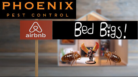 Avoid Bed Bugs in Air BnB with This Essential Tool