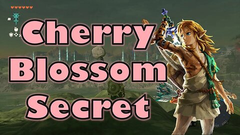 Cherry Blossom Secret Tears of the Kingdom (Find Caves FAST)