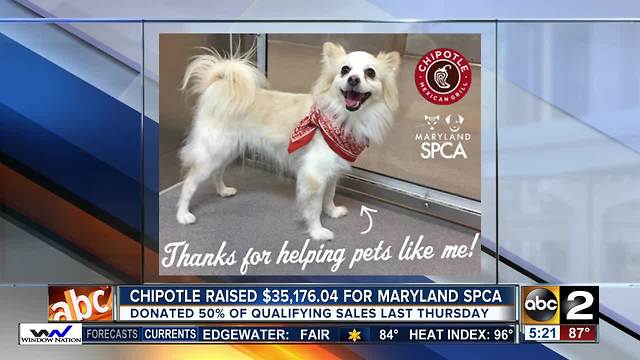 Chipotle releases how much money raised for Maryland SPCA