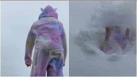Un tuffo in un mare di neve!