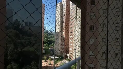 Bom dia vizinho em São Paulo kkkk #shorts