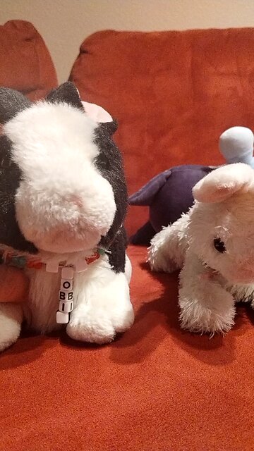 Bunnies demand treats NOW!