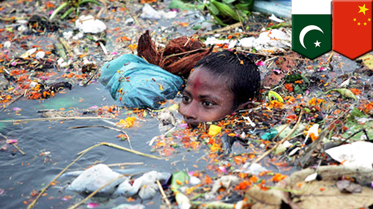 Plastic-eating fungus discovered in new study - TomoNews