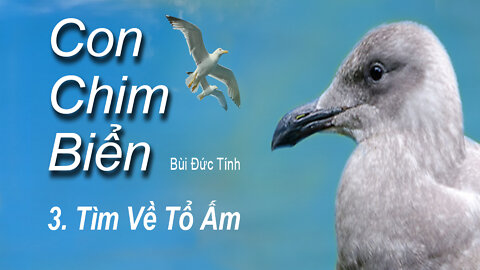 #018 | Con Chim Biển (Phần 3) | Tìm Về Tổ Ấm