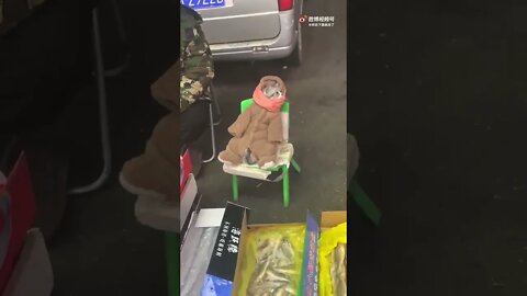 I'm Selling Fish