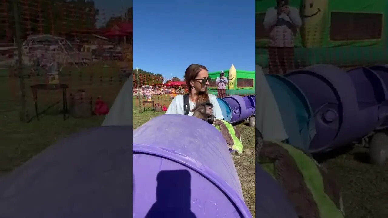 Part 2 Pumpkin Patch!