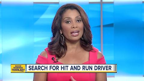 Pedestrian killed in hit-and-run in Polk County, search underway for driver