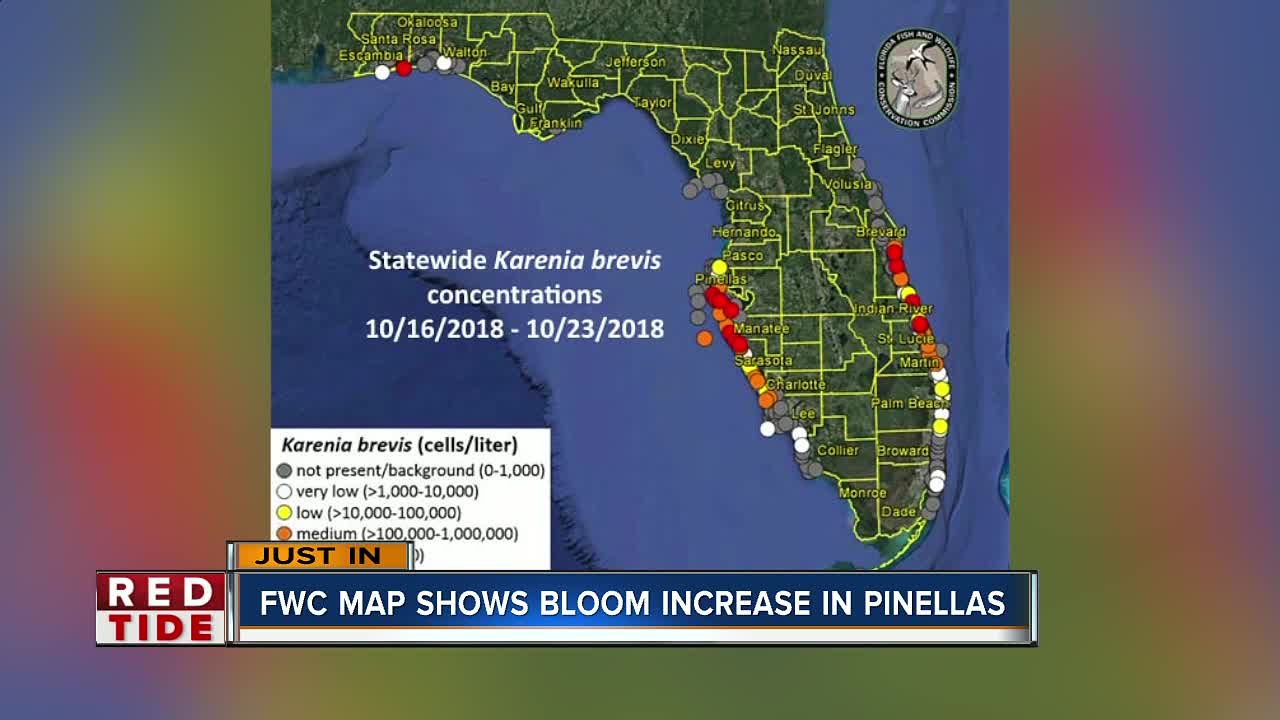 Red Tide: High concentrations increase offshore in Pinellas, Manatee and Sarasota Counties