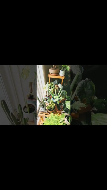 WATCHINE THE CLOUDS GO BUY