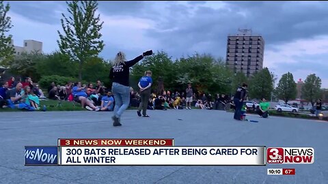 300 Bat Release at Joslyn