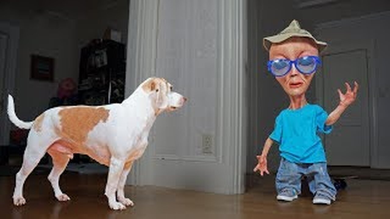 Dog vs Alien in Disguise Prank: Funny Dogs Maymo, Penny & Potpie