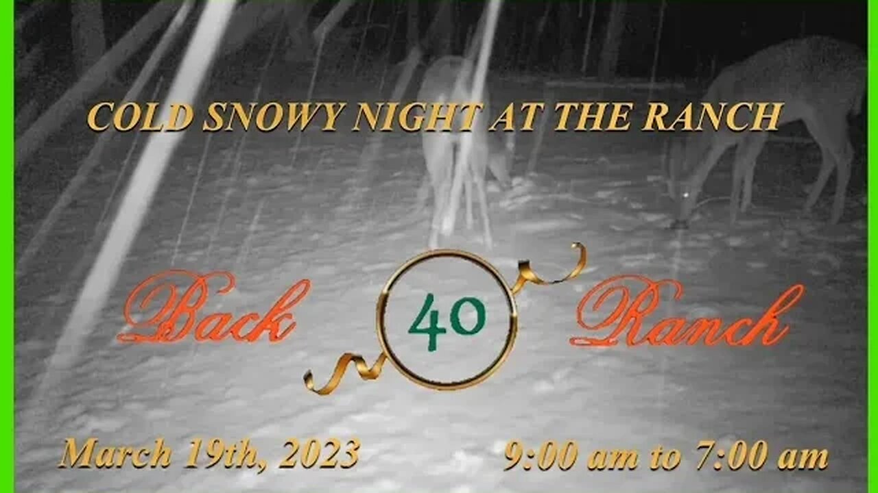 It was a cold snowy night at the Ranch!