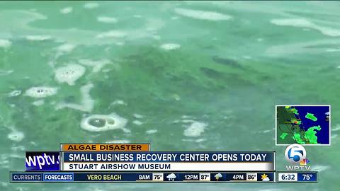 Small businesses impacted by algae can apply for federal loans starting Friday