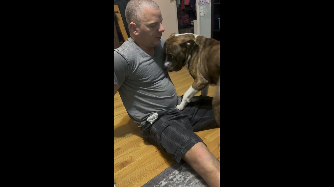 Dog knocks dad out