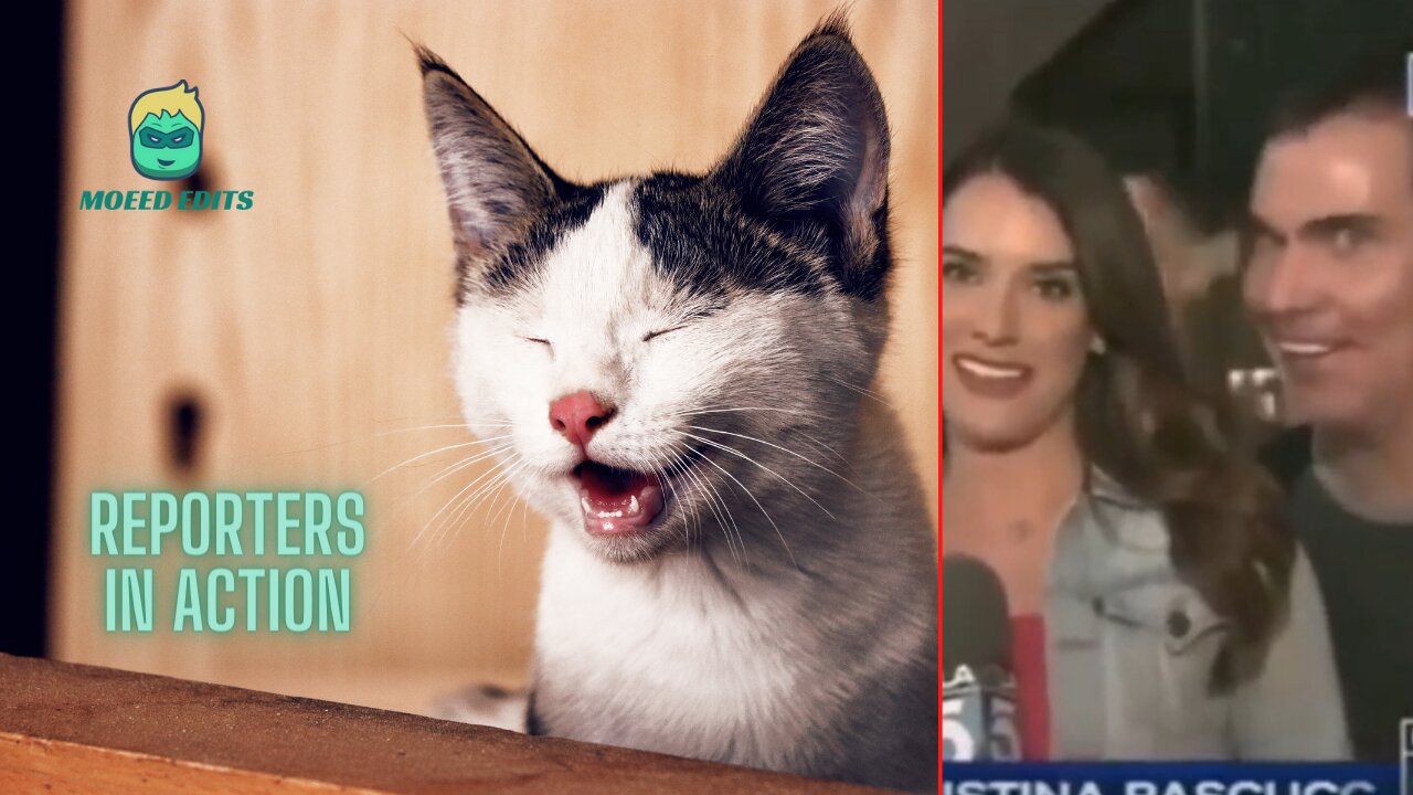 Guy Made Gorgeous News Reporter Uncomfortable | Hilarious Moments Caught On Camera | Bloopers