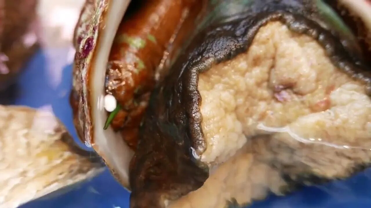 ALIEN SEA SNAIL Japanese Street Food-2