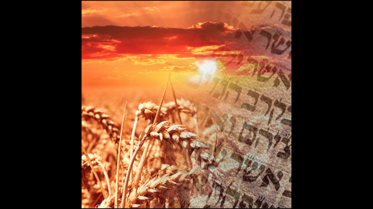 The Feast of Shavuot (Pentecost)