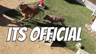 Major Life Update