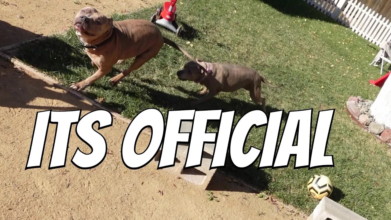Major Life Update