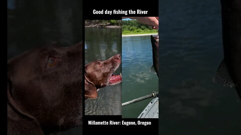 Fishing Willamette River
